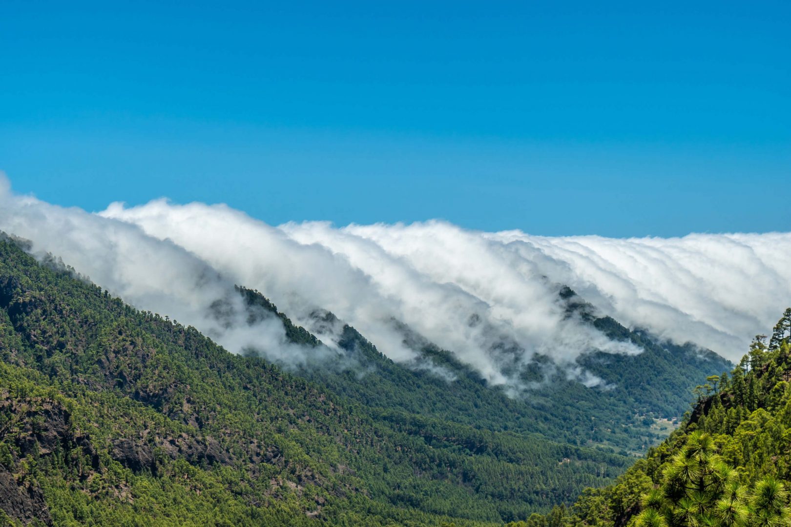 Grupo Innovaris Plan de Sostenibilidad Turística de la Reserva de la biosfera de La Palma